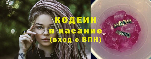 шишки Арсеньев