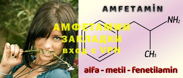 шишки Арсеньев
