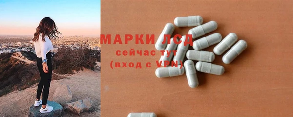 шишки Арсеньев