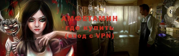 шишки Арсеньев