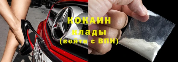 шишки Арсеньев