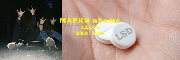 шишки Арсеньев