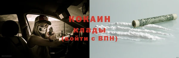 шишки Арсеньев