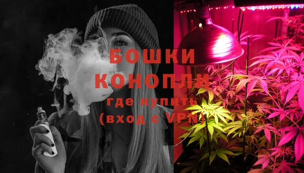шишки Арсеньев
