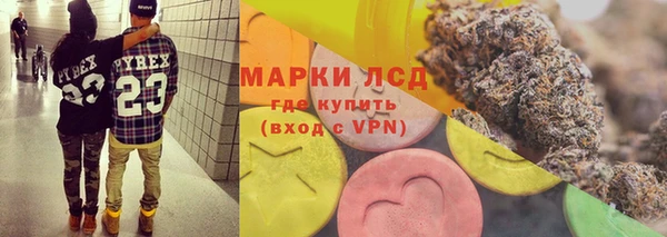 шишки Арсеньев