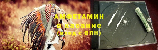шишки Арсеньев