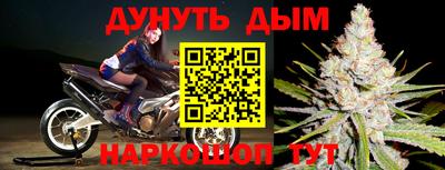 индика Аша